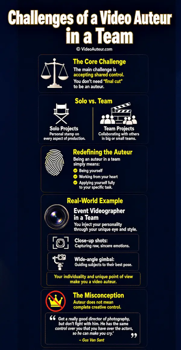 An infographic illustrating the challenges of a video auteur when operating in a team. An infographic illustrating the challenges of a video auteur when operating in a team.