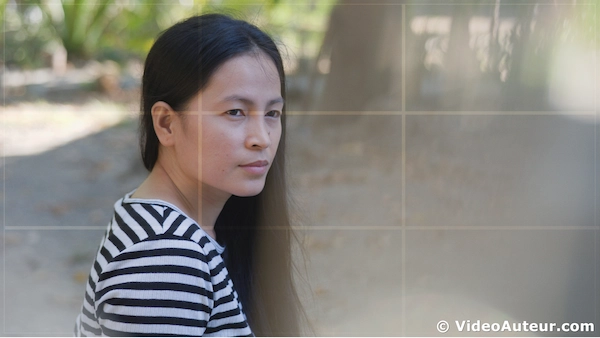 What is the rule of thirds grid application?